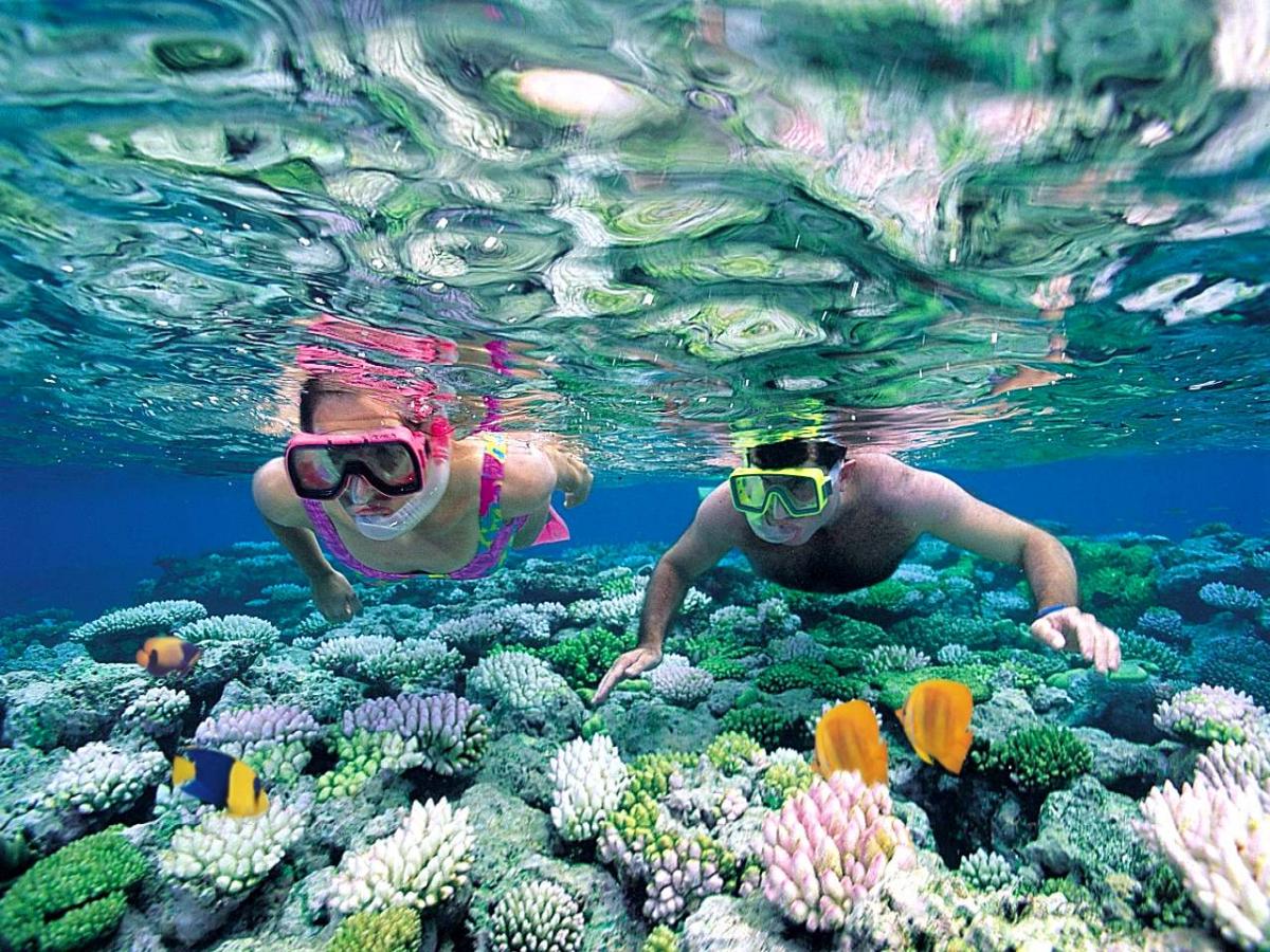 Quần đảo An Thới là “địa chỉ” ngắm san hô tuyệt nhất Phú Quốc